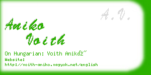 aniko voith business card